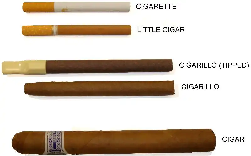 different sizes of cigars fun fact