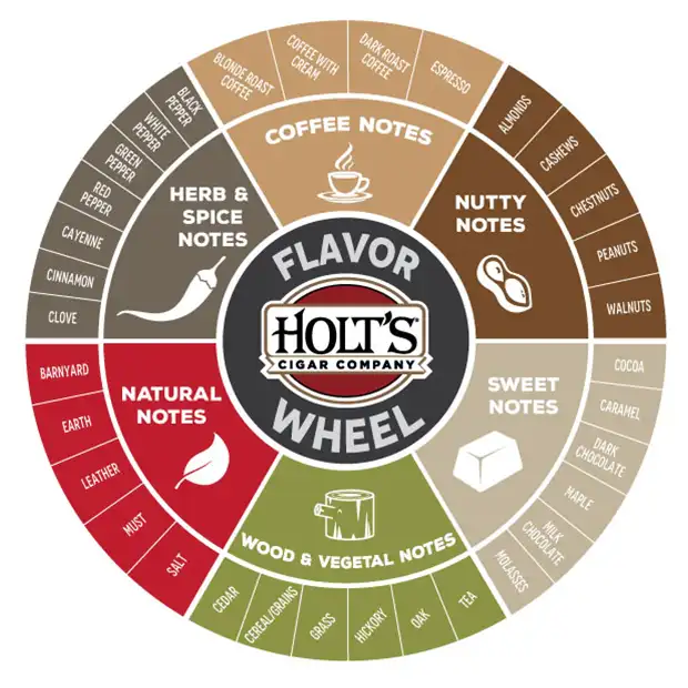 cigar and coffee flavor wheel